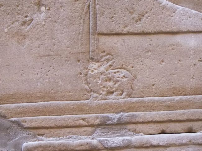 こんな形をしたセトです。次もまた、