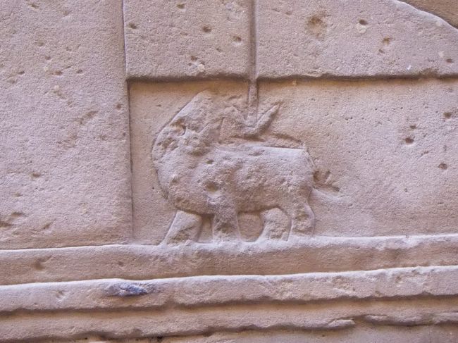 こんな感じに「↓」の形をしたモリが刺さっていて痛そうです。そして、