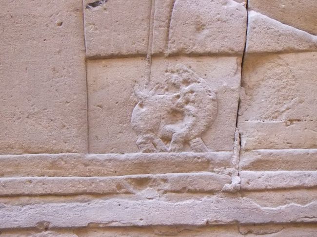 こんな感じで尻を刺されたりしています。そして次は、