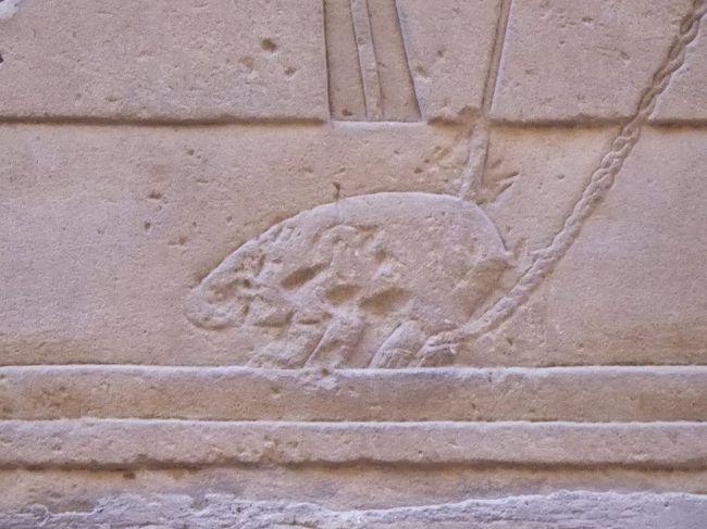 こんな感じで刺されていて、向こう側のセトは、