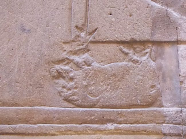 こんな感じでひっくり返っています。