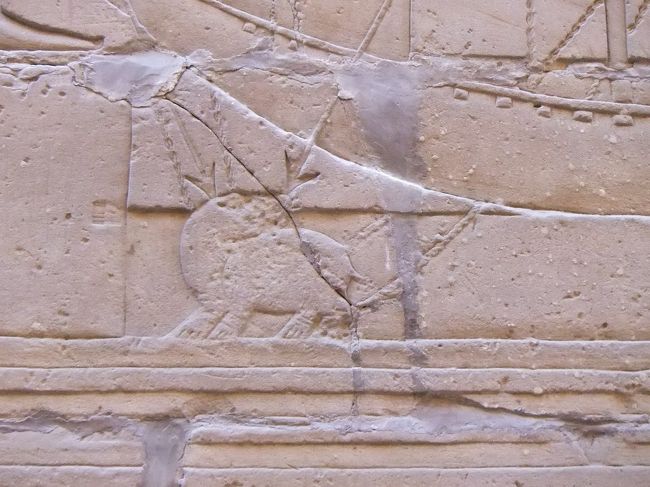 いずれにしてもセトは突き刺されます。そしてまた、