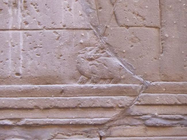 セトはこんな感じで刺されています。そして最後に、