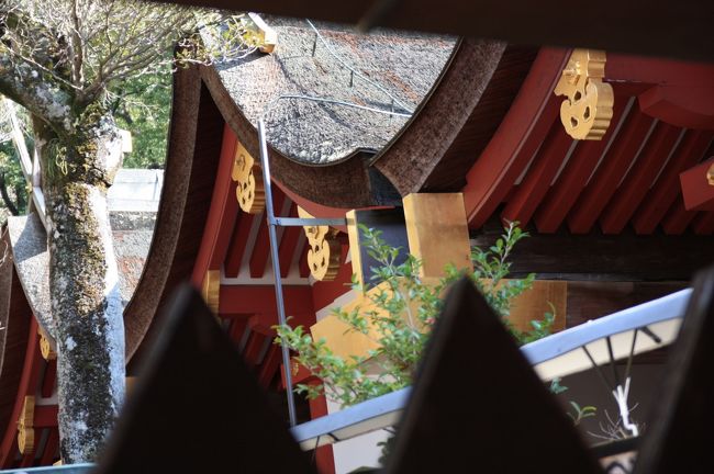 御本殿　国宝<br /><br />春日造の本殿が東西に４殿並んで建っています。<br />拝殿は無いので、一般の参拝者は幣殿の前で、初穂料を納めて特別拝観を申し込んだ場合は本殿前の中門から参拝することになります。<br /><br />神社の本殿で国宝建築物ともなると、ほとんどの場合は写真撮影ができないように、建物に守られているので、横の方からこれだけ撮るのが精いっぱいでした。<br />