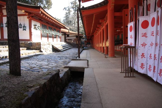 西回廊と御手洗川　重要文化財<br /><br />御手洗川（みたらしがわ）は、文永４年（１２６７年）興福寺衆徒などの申し入れにより工事が進められ、西回廊に沿って作られました。<br />春日祭の際には、勅使の「手水の儀」が慶賀門を入ったこの流れのそばで行われます。<br />