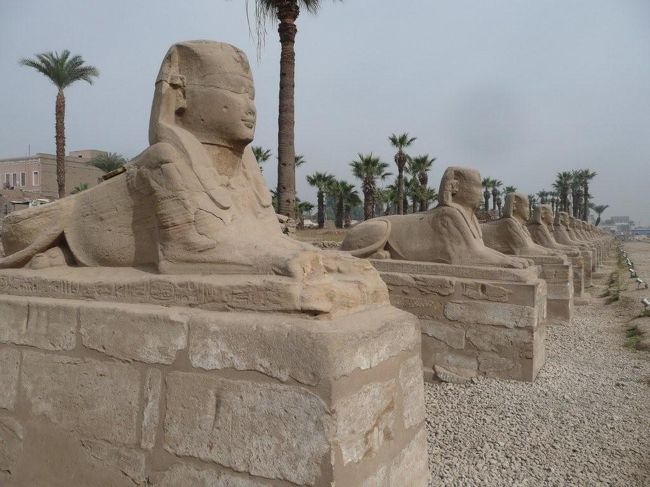 ♪♪♪====ルクソール神殿/Luxor Temple=====♪♪♪<br /><br />ルクソール神殿は、後に出てくるカルナック神殿の副神殿として建てられたテーベ時代の信仰の中心。建築はもともと第18王朝時代のアメンホテップ3世によって建築が開始されたが、後のファラオ達がいろんな建築を追加していき、現在の形になったのは、ラムセス2世の時代。<br /><br />本殿のカルナック神殿と同じく、テーベの守護神であるアムン・ラー神、その嫁ムート神、その息子ヌート神が主に祀られている。<br /><br />建築は何重もの塔門に囲まれており、その奥に至聖所を置く様式。ほかの神殿にも似通った配置である。<br /><br />●羊頭のスフィンクス参道<br />この参道は遥か4キロ程北に位置するカルナック神殿まで繋がっていたらしい。そもそもこちらの方が副神殿故、その規模はあまりにも違いすぎるが。<br /><br />このスフィンクス参道は第13王朝のネクタンポ1世によって造られた参道であり、人頭はネクタンポの顔をモデルにしていると言われている。