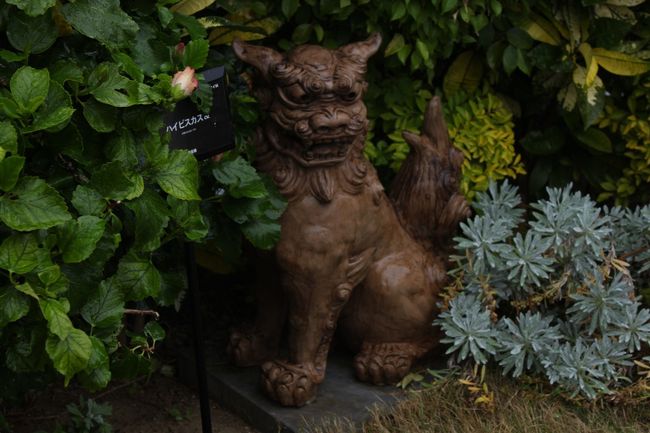 美ら海水族館へ行く階段途中にあったもの