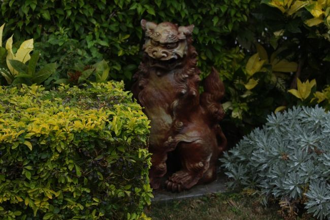 同じく美ら海水族館