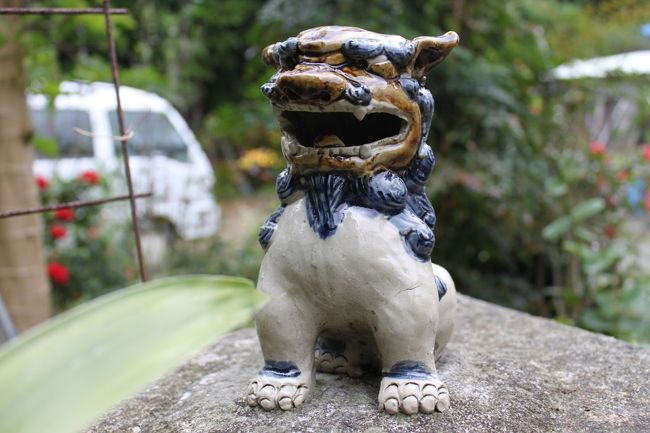 みかん農家　右？