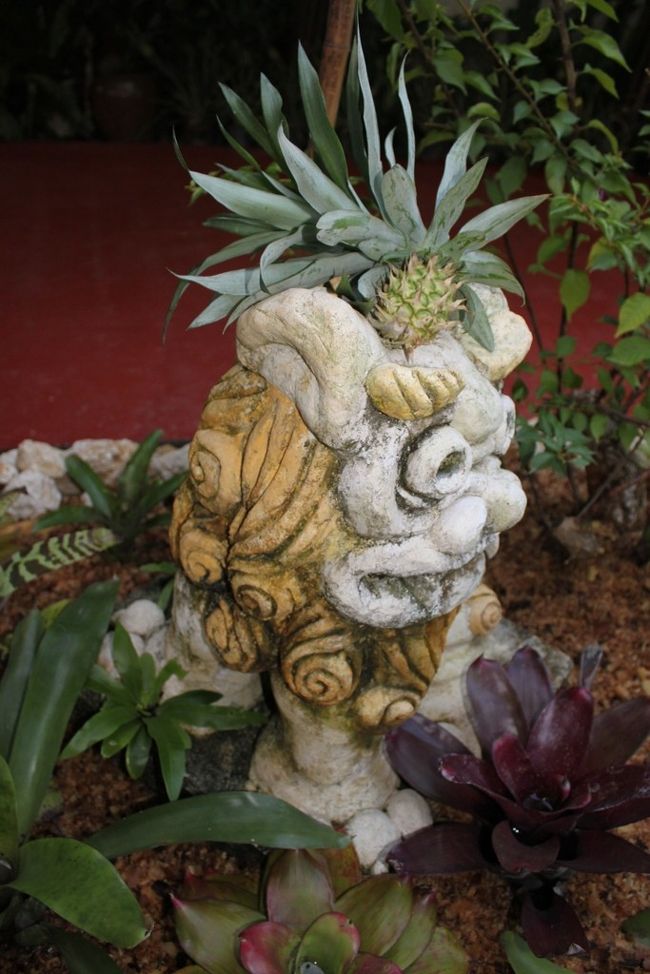 パイナップル王国