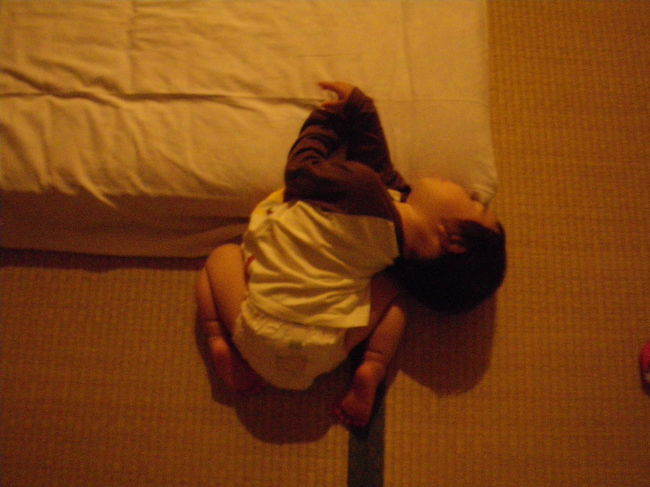 おやすみなさいませ。。。