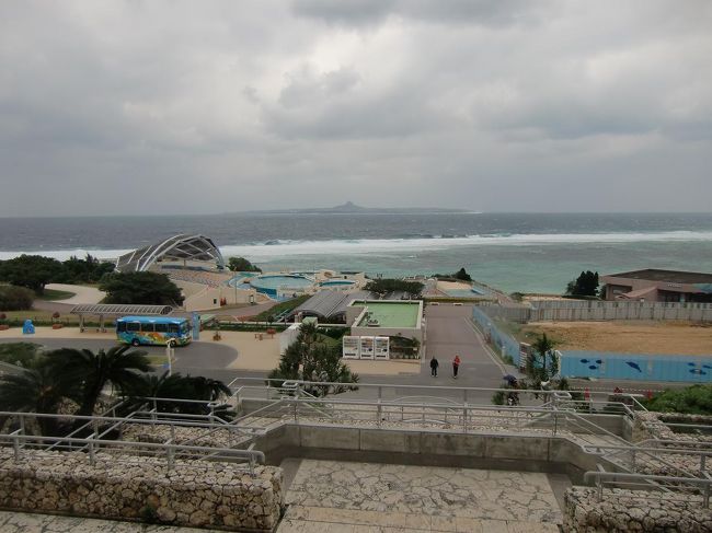 黒い雲と冷たい風が吹きつける「沖縄海洋博公園」（写真）。暖かくて天気のいい日には素晴らしい公園になると思うが、今日は最悪。足早に水族館に逃げ込む。