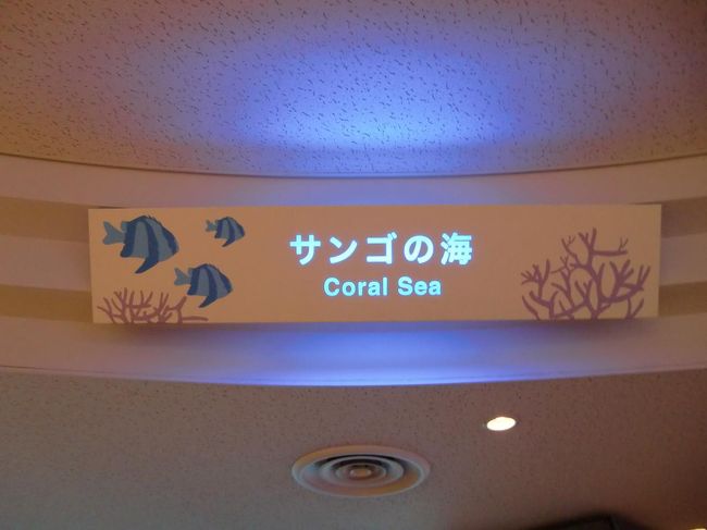 世界初のサンゴの大規模飼育展示場所が「サンゴの海」