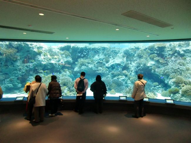 サンゴの海（写真）では約70種800群体の生きたサンゴと、その周りを泳ぐカラフルな熱帯魚が見れる。