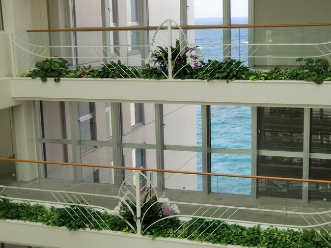 クラブサビーメンバーは昼食レストランをハシゴしてもいいので、和食を食べた後、アンビルハウスでケーキとコーヒー、フルーツを味わう。<br /> <br />