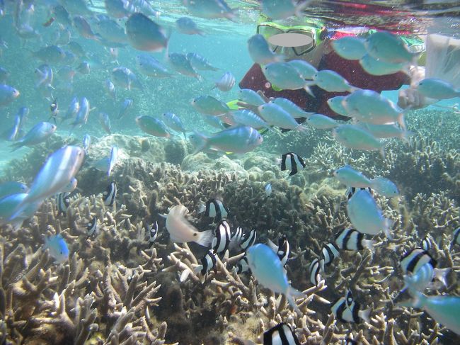 お魚さん達〜<br />また来るから元気でな\(￣▽￣)/　