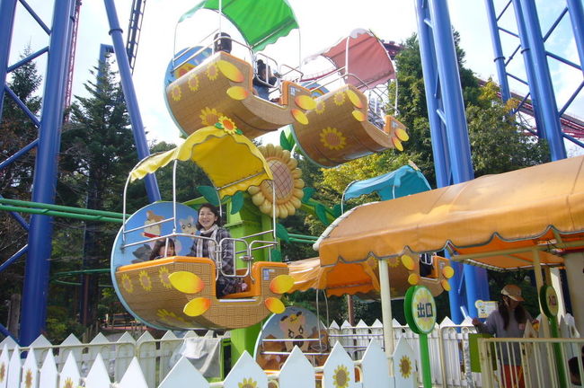 ほら、こんなに小さい。