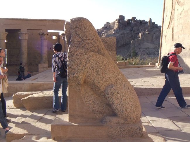 横からも眺めてみます。