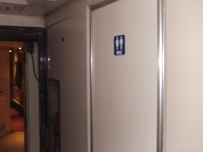 車両の端に２つのトイレが向かい合っています。隣の車両に移ってトイレを利用することもできます。