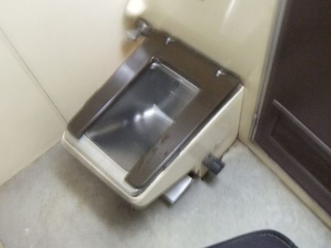 シンプルなトイレがあります。トイレによって、清潔さや水の出が違います（そういえば、エジプト航空の飛行機もそうでした）。写真のトイレはどちらもあまりよい方ではありません。
