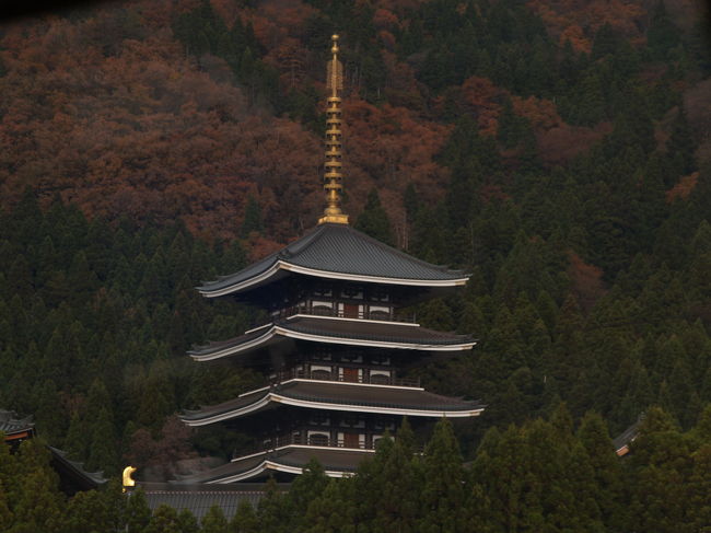 五重塔（近代）』川崎(神奈川県)の旅行記・ブログ by ドクターキムル