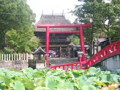 国宝に指定されている青井阿蘇神社です。手前は、蓮池です。