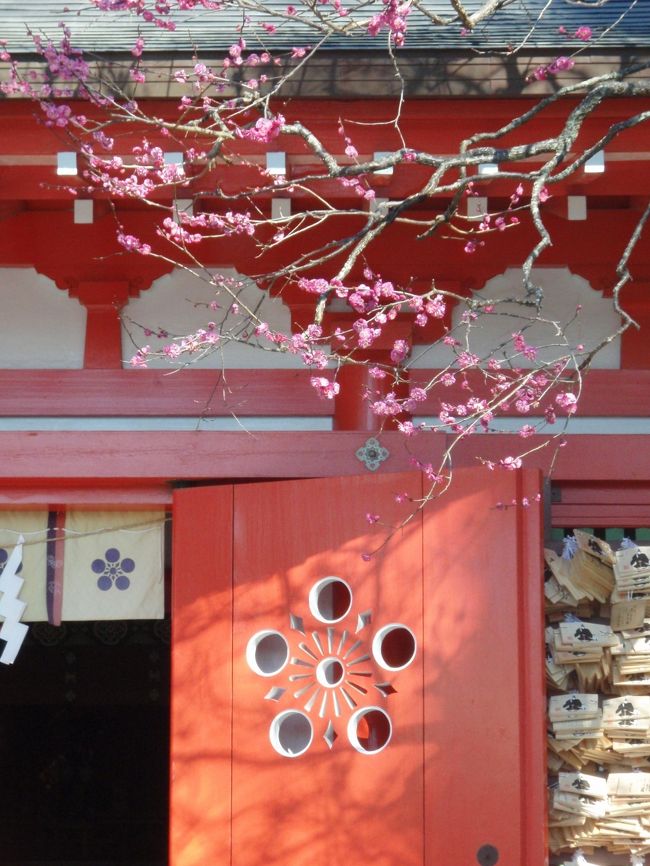 紅梅がきれいに咲いていました。<br />咲き誇っているのは、まだこの一本のみ。<br />見ごろはあと1週間と言うところでしょうか。<br /><br />扉の紋も梅の図柄です。