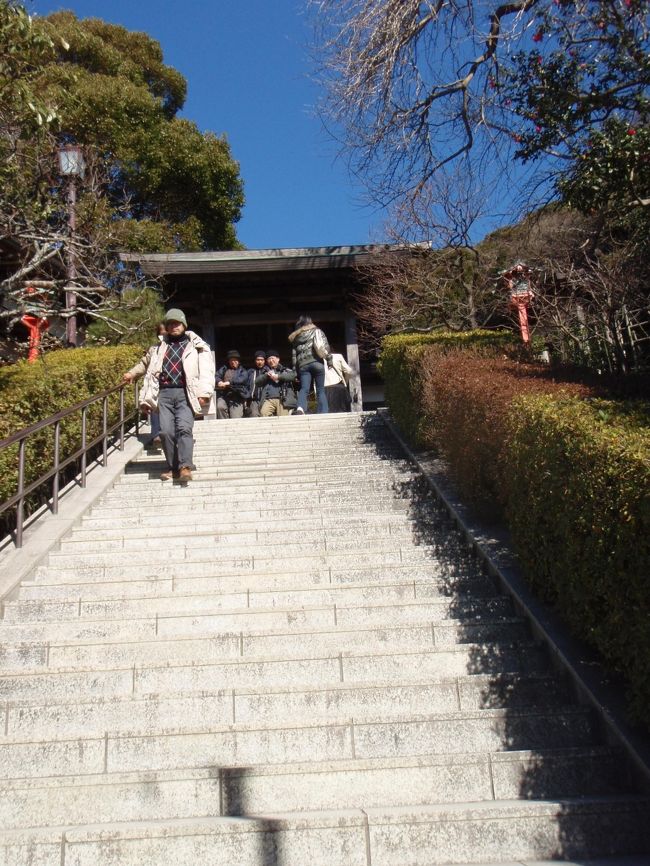 振り返れば、抜けるような青空。<br /><br />鶴が丘八幡宮と比べると、静かで落ち着ける<br />雰囲気があります。