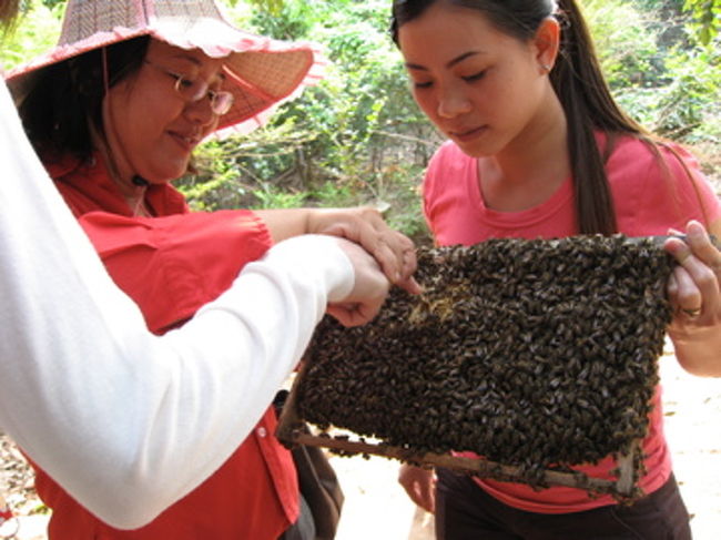 　メコンデルタでは、船で川を渡り、そこに住む人達の生活を垣間見る（と言っても観光用でしょうけど）。ココナッツキャンデーを作っているところ、はちみつ採取しているところ、などなど。蜂の巣に指を持って行かれ、みんなヒヤヒヤ。<br /><br />　日本人のみのツアーは時々、各グループで固まり他の人と全く接点を持とうとしないメンバーにあたり、少々寂しい思いをする事がある。が、今回は私以外にもひとり参加のおじさんがいて、また他のカップルも友好的、女子２人組のひとりは全体を盛り上げるムードメーカーと言っていいほどのキャラクターで、とても楽しく過ごすことができた。この日お世話になったみなさんにも感謝。