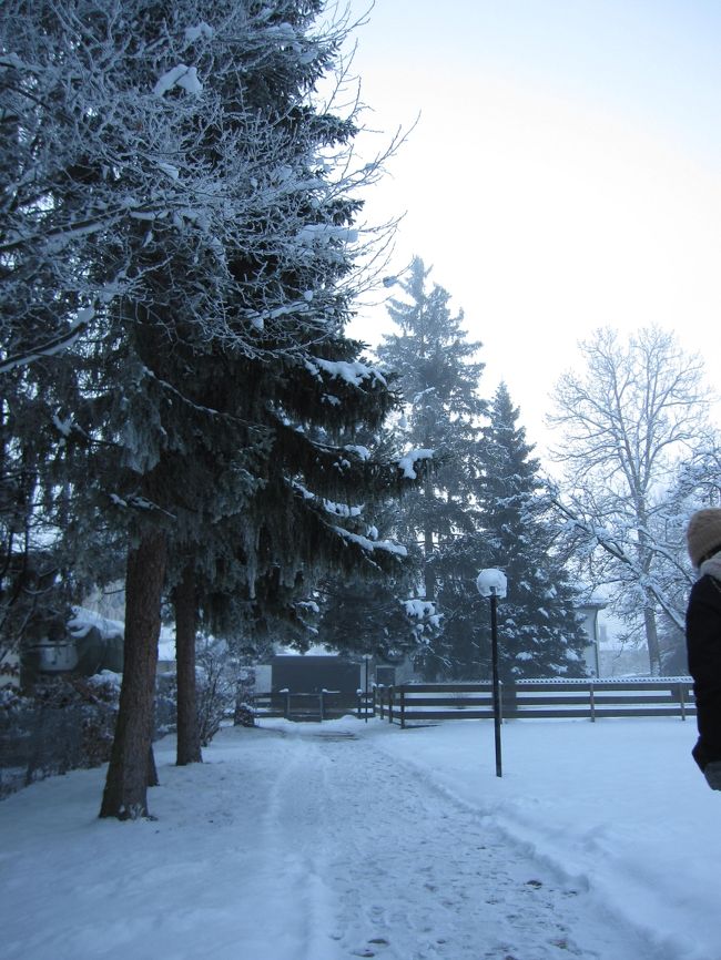 朝起きたら、あまりの雪にびっくり！<br />昨日のローテンブルクよりたくさん積もっている感じ。<br /><br />日本では南に下るのは温かくなるイメージですが<br />ドイツでは南に下る→寒くなる、そうです。<br /><br />そういやドイツの下にはスイスがありますもんね。<br />納得。