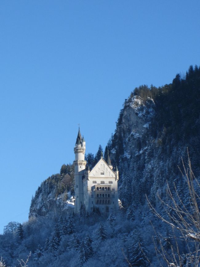 ようやくこちらにも太陽が当り始めました。<br />