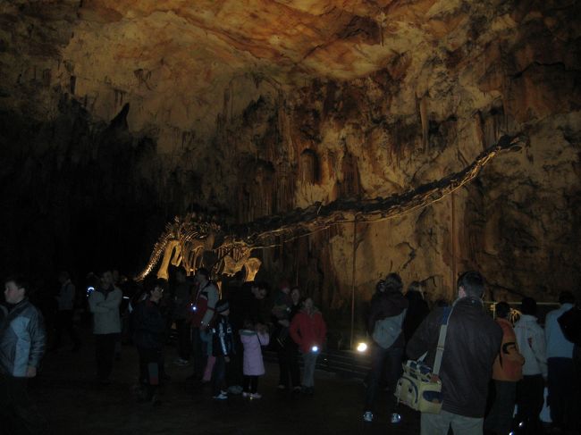 意外と中は寒い。ガイドがいて言語ごとに別れます。<br />途中、突然停電しちゃって・・・すぐついたけど、ちょっとびびったw