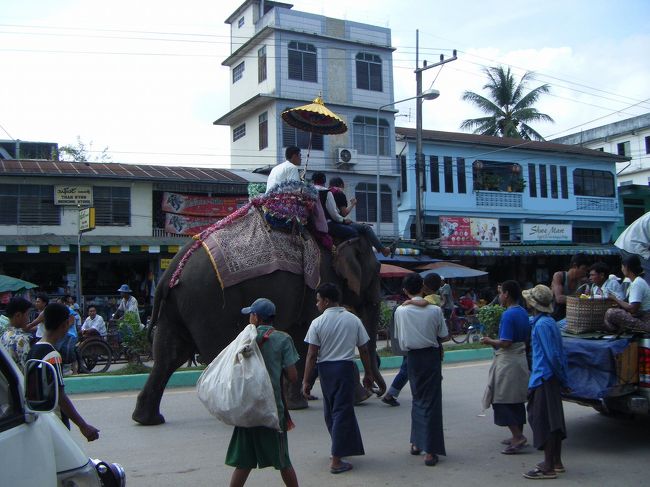 偶然、結婚式のパレードに遭遇しました。<br />花嫁と花婿を乗せた象が、お菓子をばら撒いています。