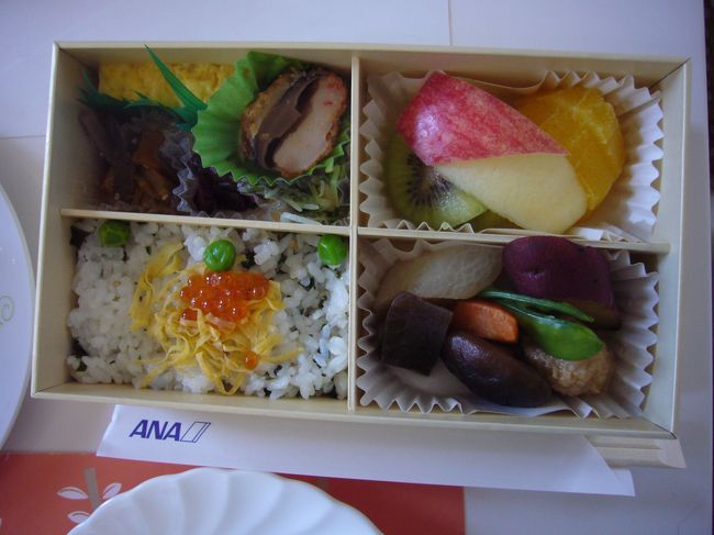 ちびｑの初フライト 鳥取市 鳥取県 の旅行記 ブログ By いまじさん フォートラベル