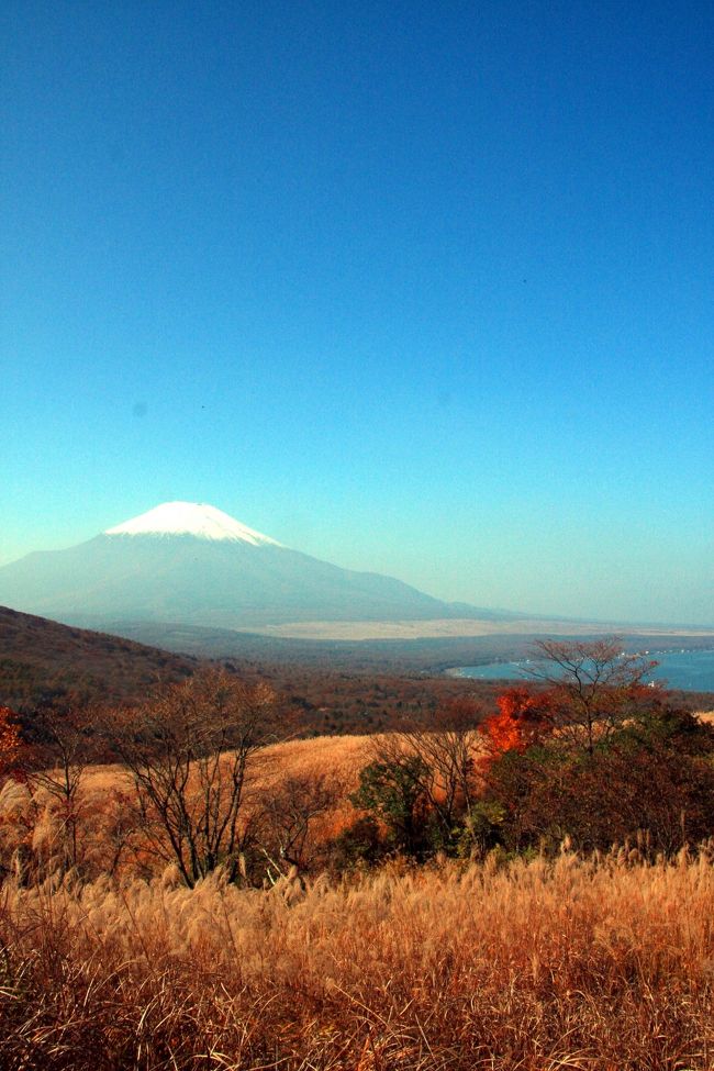 雲一つない秋晴れの空<br />ススキ野原のバックに、富士山と山中湖が綺麗に見えました(^^♪<br />