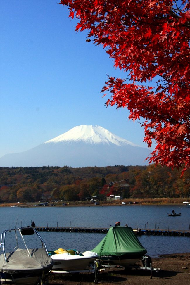紅葉したモミジと山中湖<br />