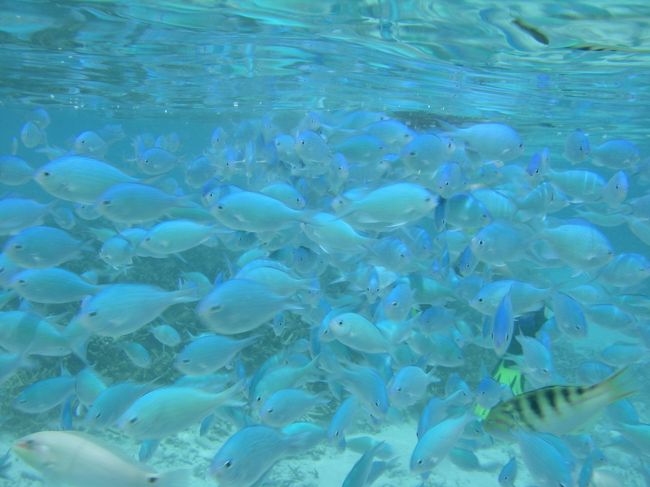 こんなんなります　w((￣￣0￣￣))w<br /><br />どんだけぇぇぇ