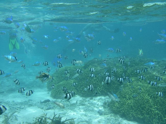 今日もお魚天国★★★<br /><br />