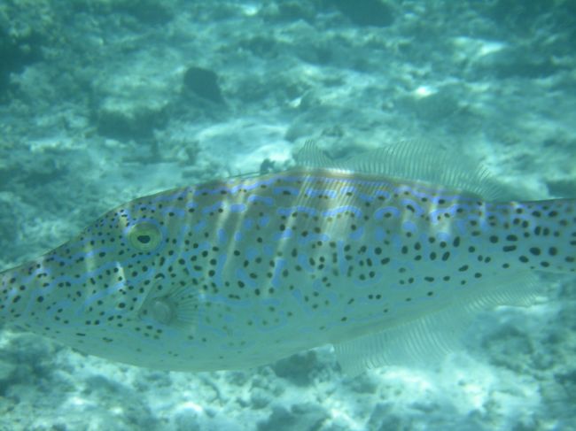 びっくりしたぁ(￣◇￣　)<br /><br />