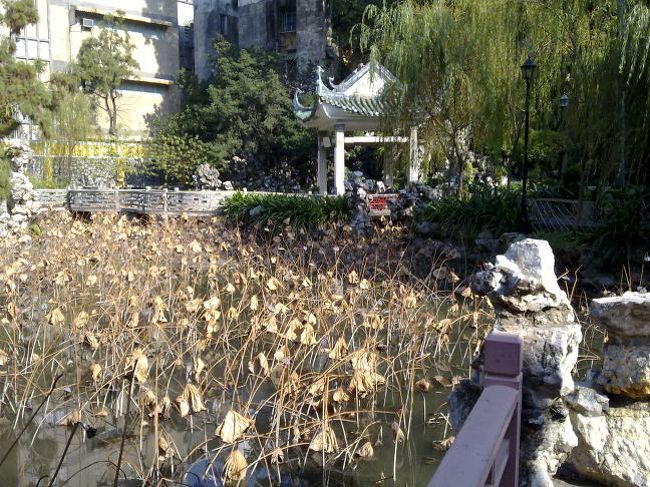 廬廉若公園(Jardim Lou Lim leoc)<br />地元の人がここでマッタリしていたり、将棋で盛り上がっていた。<br />