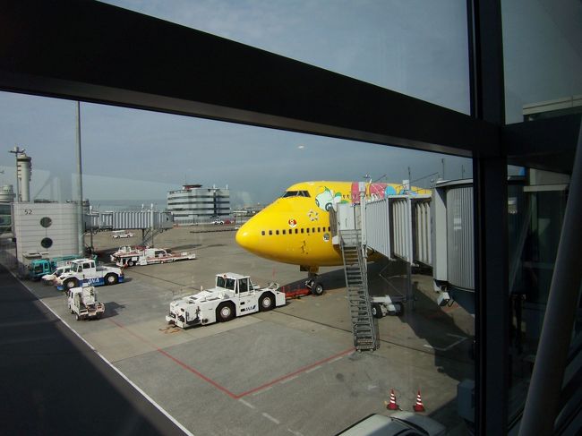 羽田空港から午前便に乗って出発！<br />２時間１５分で沖縄・那覇空港へ。<br />海外に行くより楽ですね♪<br /><br /><br />沖縄にはお昼に着き、ツアーで予約していたタクシーで宿泊先のＡＮＡインターコンチネンタル万座ビーチリゾートへ。<br />車で７０分かかりました。