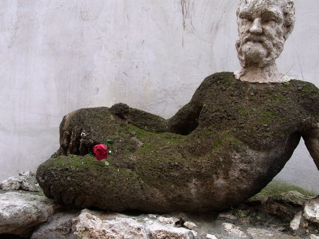 深紅のバラがなんとも（笑）