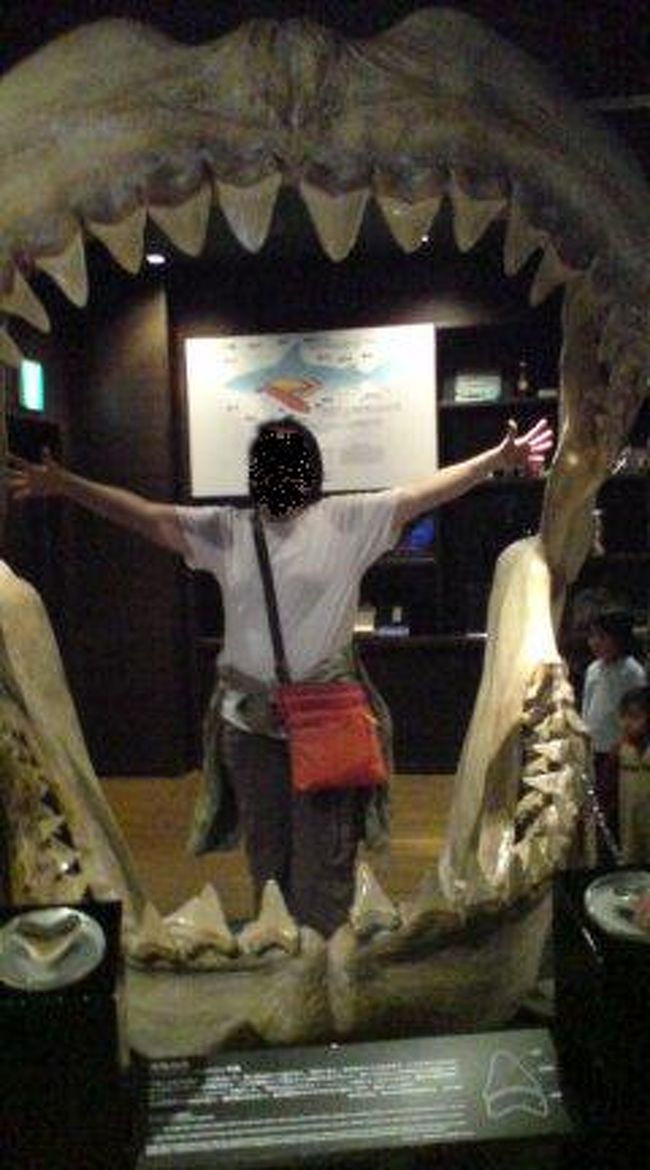 シャークの口の大きさ体感。