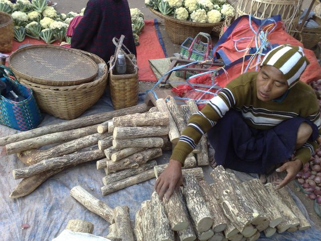 タナカの木を売っている店