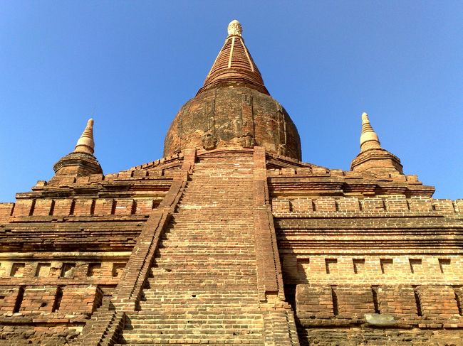 名前忘れた。。。