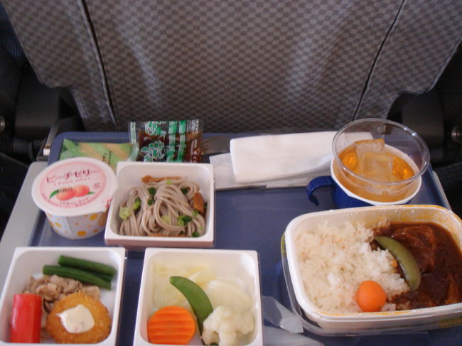 10:00成田発でフライト指定しました。<br />ウェブチェックインしてあったので、三人並んで座れました。<br />機内食はビーフシチューです。<br />映画、「This is it」やってました！ＤＶＤ買わなくて良かったー。<br />でもフライト３時間半だから１本しか観れないんですよね。<br />空港に着くと現地ガイドの張さんがお出迎え。<br />空港内で両替（\60,000→20,724元で１元→ほぼ\3）<br />グループ専用車で空港送迎のプランだったので、すぐホテルにチェックインできました。