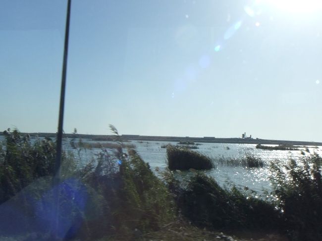 両側に湿地帯のようなものが広がっています。左前方に海のようなものが見え、そこにアレクサンドリアの町が広がっています。でも、右側に座っているので写真を撮れません。左側に座るべきでした。悔いているうちに、アレクサンドリアに到着です。