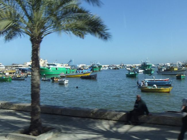 船がたくさん並んでいます。お、向こうの方にカイトベイ要塞が見えています（木の陰です）。