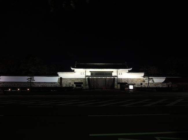 京都国際ホテルに泊まって舞妓さんのおどりを見せて頂きました 二条 烏丸 河原町 京都 の旅行記 ブログ By Dhcさん フォートラベル