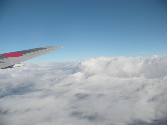 羽田から那覇へ。<br />上空で丸虹を目撃!!しかも、丸虹の真ん中に飛行機の影が映ってすっご〜〜〜〜いキレイだった!!!